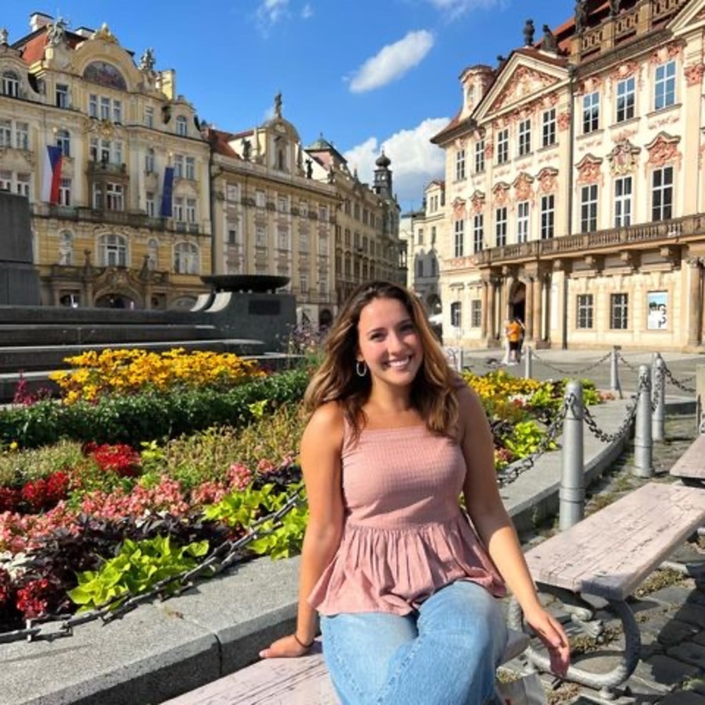 Meet your Posher, Ally